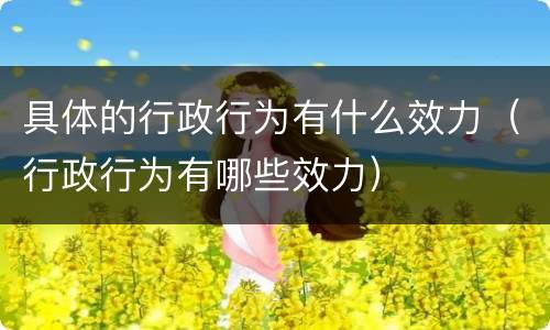 具体的行政行为有什么效力（行政行为有哪些效力）