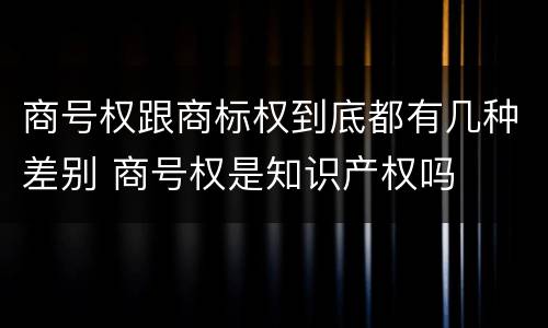 商号权跟商标权到底都有几种差别 商号权是知识产权吗