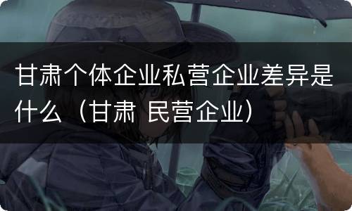甘肃个体企业私营企业差异是什么（甘肃 民营企业）