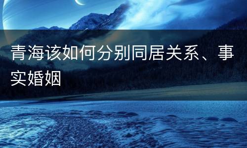 青海该如何分别同居关系、事实婚姻