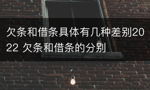 欠条和借条具体有几种差别2022 欠条和借条的分别