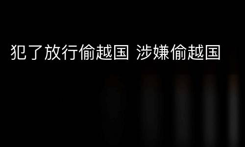 犯了放行偷越国 涉嫌偷越国
