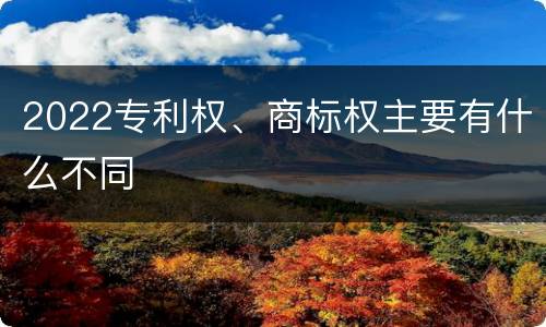 2022专利权、商标权主要有什么不同