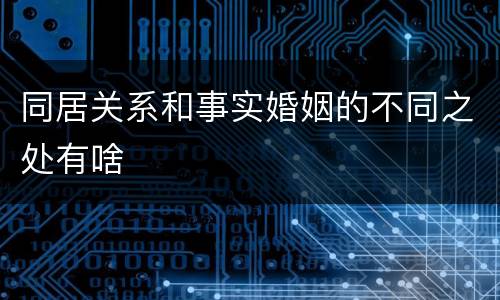 同居关系和事实婚姻的不同之处有啥
