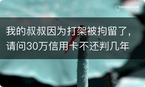 我的叔叔因为打架被拘留了,请问30万信用卡不还判几年