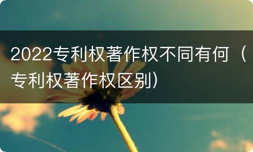 2022专利权著作权不同有何（专利权著作权区别）