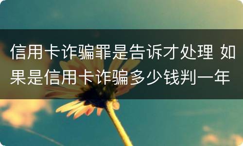 信用卡诈骗罪是告诉才处理 如果是信用卡诈骗多少钱判一年