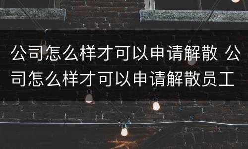 公司怎么样才可以申请解散 公司怎么样才可以申请解散员工