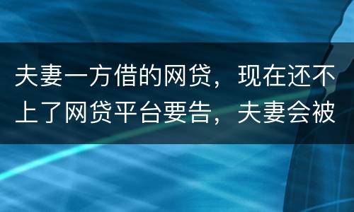 夫妻一方借的网贷，现在还不上了网贷平台要告，夫妻会被一起告吗