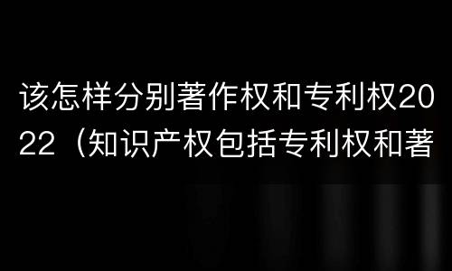 该怎样分别著作权和专利权2022（知识产权包括专利权和著作权吗）