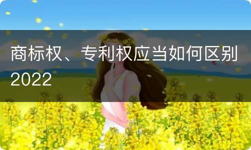 商标权、专利权应当如何区别2022