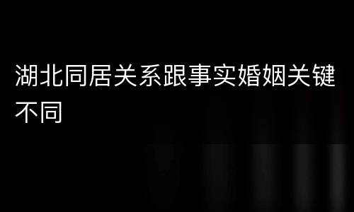 湖北同居关系跟事实婚姻关键不同