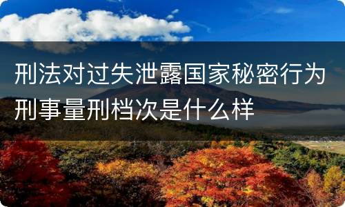 刑法对过失泄露国家秘密行为刑事量刑档次是什么样