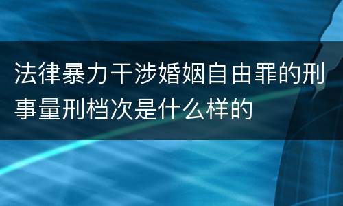 法律暴力干涉婚姻自由罪的刑事量刑档次是什么样的