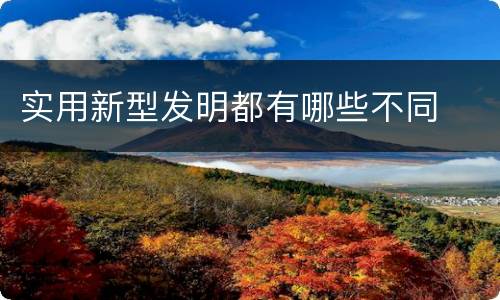 实用新型发明都有哪些不同