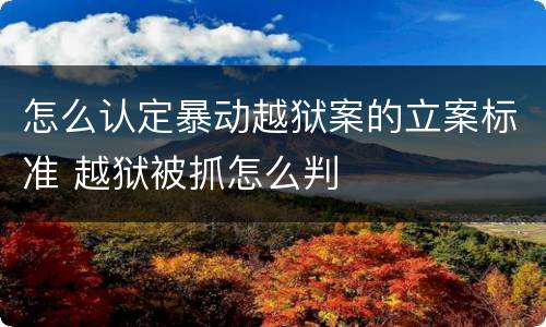 怎么认定暴动越狱案的立案标准 越狱被抓怎么判