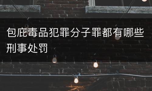 包庇毒品犯罪分子罪都有哪些刑事处罚