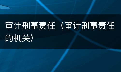 审计刑事责任（审计刑事责任的机关）