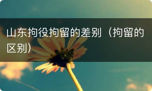 山东拘役拘留的差别（拘留的区别）