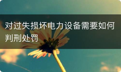 对过失损坏电力设备需要如何判刑处罚