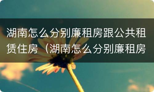 湖南怎么分别廉租房跟公共租赁住房（湖南怎么分别廉租房跟公共租赁住房呢）