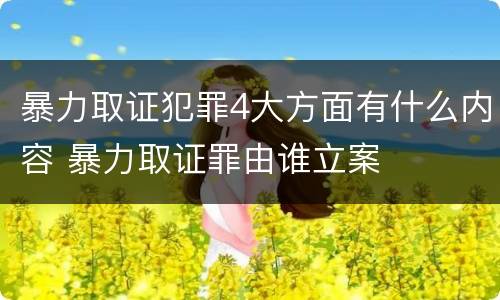 暴力取证犯罪4大方面有什么内容 暴力取证罪由谁立案
