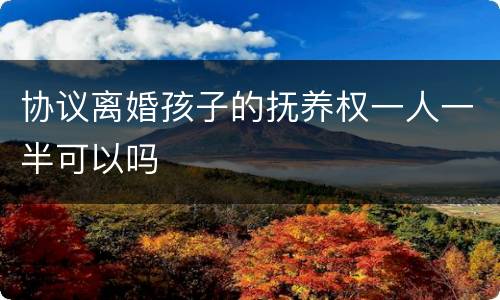 协议离婚孩子的抚养权一人一半可以吗