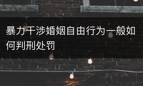暴力干涉婚姻自由行为一般如何判刑处罚