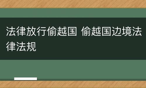 法律放行偷越国 偷越国边境法律法规