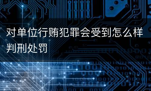 对单位行贿犯罪会受到怎么样判刑处罚