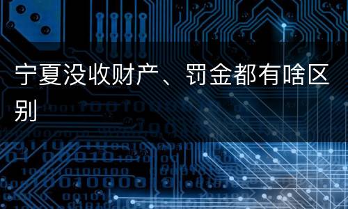 宁夏没收财产、罚金都有啥区别