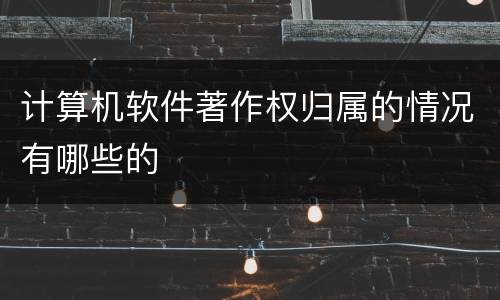 计算机软件著作权归属的情况有哪些的
