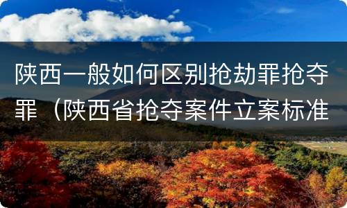 陕西一般如何区别抢劫罪抢夺罪（陕西省抢夺案件立案标准）