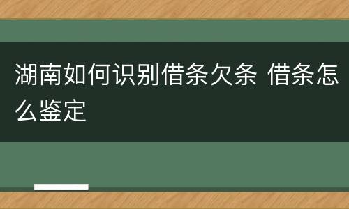 湖南如何识别借条欠条 借条怎么鉴定