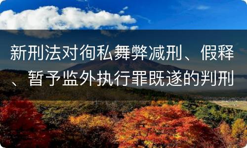 新刑法对徇私舞弊减刑、假释、暂予监外执行罪既遂的判刑标准