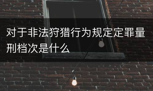 对于非法狩猎行为规定定罪量刑档次是什么