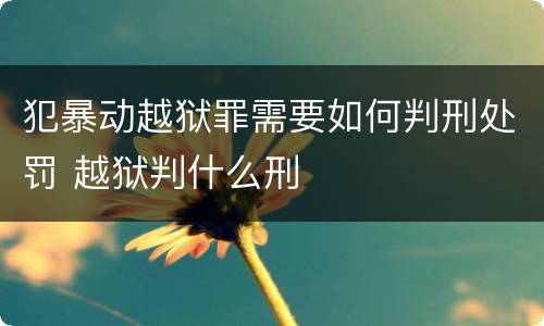 犯暴动越狱罪需要如何判刑处罚 越狱判什么刑