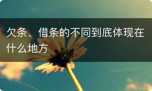 欠条、借条的不同到底体现在什么地方