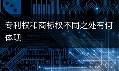 专利权和商标权不同之处有何体现
