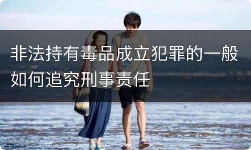 非法持有毒品成立犯罪的一般如何追究刑事责任