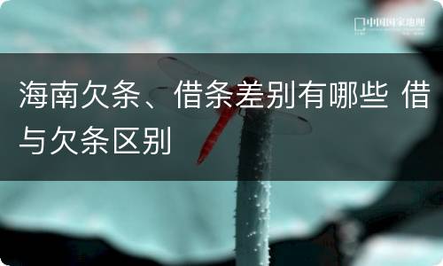海南欠条、借条差别有哪些 借与欠条区别