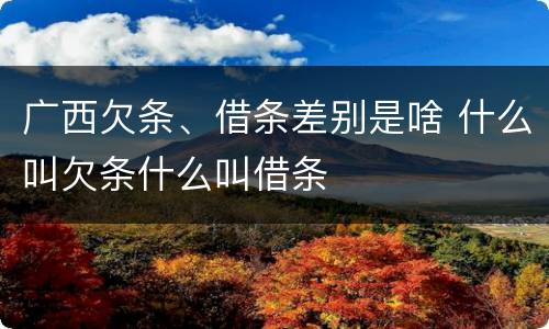 广西欠条、借条差别是啥 什么叫欠条什么叫借条
