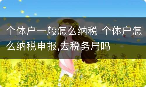 个体户一般怎么纳税 个体户怎么纳税申报,去税务局吗