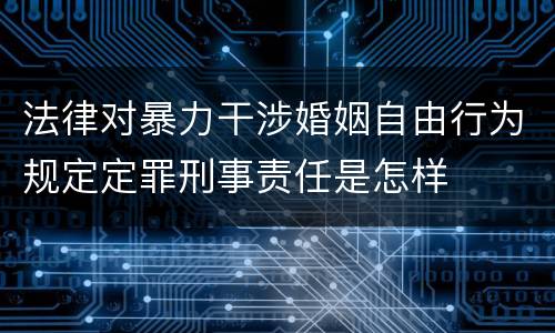 法律对暴力干涉婚姻自由行为规定定罪刑事责任是怎样