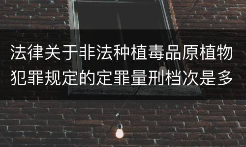 法律关于非法种植毒品原植物犯罪规定的定罪量刑档次是多少