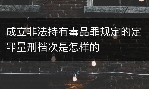 成立非法持有毒品罪规定的定罪量刑档次是怎样的