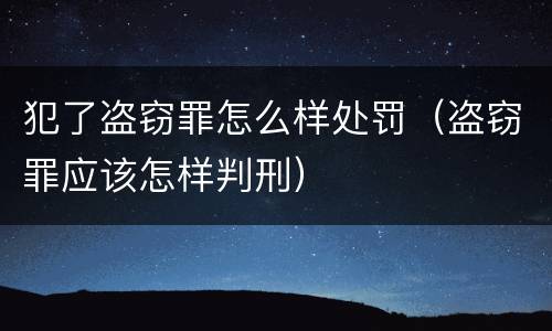 犯了盗窃罪怎么样处罚（盗窃罪应该怎样判刑）