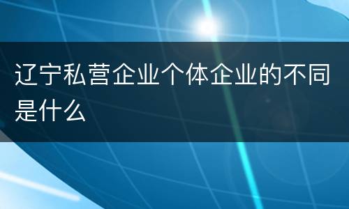 辽宁私营企业个体企业的不同是什么