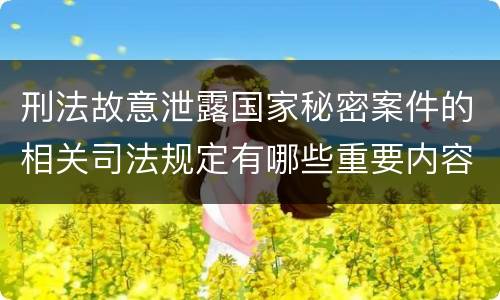 刑法故意泄露国家秘密案件的相关司法规定有哪些重要内容