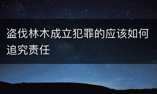 盗伐林木成立犯罪的应该如何追究责任